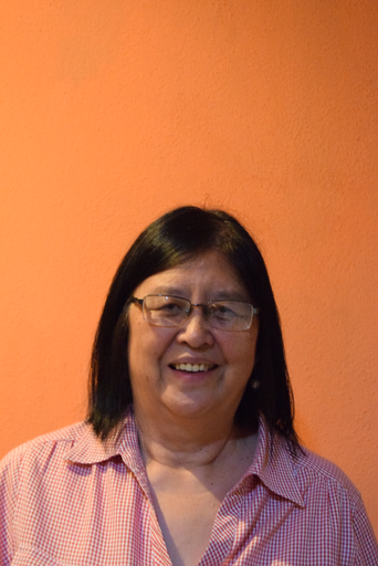 Imagen de rosa maría león